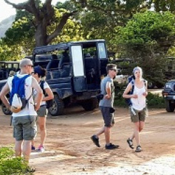 14 dages rejse i Sri Lanka 